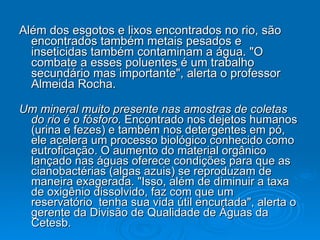 Além dos esgotos e lixos encontrados no rio, são encontrados também metais pesados e inseticidas também contaminam a água. "O combate a esses poluentes é um trabalho secundário mas importante", alerta o professor Almeida Rocha. Um mineral muito presente nas amostras de coletas do rio é o fósforo.  Encontrado nos dejetos humanos (urina e fezes) e também nos detergentes em pó, ele acelera um processo biológico conhecido como eutroficação. O aumento do material orgânico lançado nas águas oferece condições para que as cianobactérias (algas azuis) se reproduzam de maneira exagerada. "Isso, além de diminuir a taxa de oxigênio dissolvido, faz com que um reservatório  tenha sua vida útil encurtada", alerta o gerente da Divisão de Qualidade de Águas da Cetesb. 