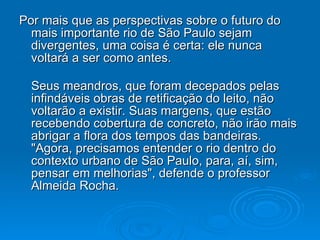 Por mais que as perspectivas sobre o futuro do mais importante rio de São Paulo sejam divergentes, uma coisa é certa: ele nunca voltará a ser como antes. Seus meandros, que foram decepados pelas infindáveis obras de retificação do leito, não voltarão a existir. Suas margens, que estão recebendo cobertura de concreto, não irão mais abrigar a flora dos tempos das bandeiras. "Agora, precisamos entender o rio dentro do contexto urbano de São Paulo, para, aí, sim, pensar em melhorias", defende o professor Almeida Rocha.  