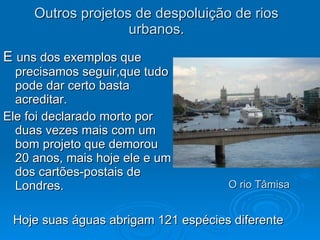Outros projetos de despoluição de rios urbanos. E  uns dos exemplos que precisamos seguir,que tudo pode dar certo basta acreditar. Ele foi declarado morto por duas vezes mais com um bom projeto que demorou 20 anos, mais hoje ele e um dos cartões-postais de Londres. O rio Tâmisa Hoje suas águas abrigam 121 espécies diferente 