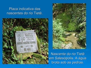 Nascente do rio Tietê em Salesópolis. A água brota sob as pedras. Placa indicativa das nascentes do rio Tietê. 