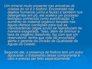 Um mineral muito presente nas amostras de coletas do rio é o fósforo.  Encontrado nos dejetos humanos (urina e fezes) e também nos detergentes em pó, ele acelera um processo biológico conhecido como eutroficação. O aumento do material orgânico lançado nas águas oferece condições para que as cianobactérias (algas azuis) se reproduzam de maneira exagerada. "Isso, além de diminuir a taxa de oxigênio dissolvido, faz com que um reservatório  tenha sua vida útil encurtada", alerta o gerente da Divisão de Qualidade de Águas da Cetesb. Segundo ele, a presença de fósforo tem um outro agravante: o tratamento desse componente é caro e precisa ser feito separadamente. 