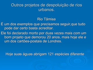 Outros projetos de despoluição de rios urbanos. Rio Tâmisa  É um dos exemplos que precisamos seguir,que tudo pode dar certo basta acreditar. Ele foi declarado morto por duas vezes mais com um bom projeto que demorou 20 anos, mais hoje ele e um dos cartões-postais de Londres. Hoje suas águas abrigam 121 espécies diferente 