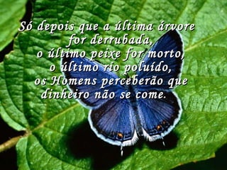 Só depois que a última árvore for derrubada, o último peixe for morto, o último rio poluído, os Homens perceberão que dinheiro não se come .        