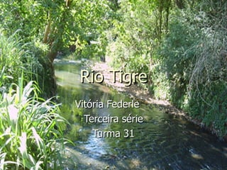 Rio Tigre Vitória Federle  Terceira série Turma 31 