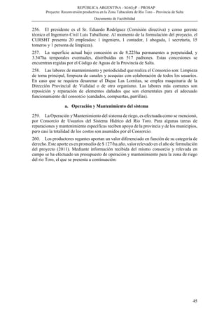 REPÚBLICA ARGENTINA - MAGyP – PROSAP
Proyecto: Reconversión productiva en la Zona Tabacalera de Río Toro – Provincia de Salta
Documento de Factibilidad
45
256. El presidente es el Sr. Eduardo Rodríguez (Comisión directiva) y como gerente
técnico el Ingeniero Civil Luis Taballione. Al momento de la formulación del proyecto, el
CURSHT presenta 20 empleados: 1 ingeniero, 1 contador, 1 abogada, 1 secretaria, 15
tomeros y 1 persona de limpieza).
257. La superficie actual bajo concesión es de 8.223ha permanentes a perpetuidad, y
3.347ha temporales eventuales, distribuidas en 517 padrones. Estas concesiones se
encuentran regidas por el Código de Aguas de la Provincia de Salta.
258. Las labores de mantenimiento y periodicidad que realiza el Consorcio son: Limpieza
de toma principal, limpieza de canales y acequias con colaboración de todos los usuarios.
En caso que se requiera desarenar el Dique Las Lomitas, se emplea maquinaria de la
Dirección Provincial de Vialidad o de otro organismo. Las labores más comunes son
reposición y reparación de elementos dañados que son elementales para el adecuado
funcionamiento del consorcio (candados, compuertas, parrillas).
a. Operación y Mantenimiento del sistema
259. La Operación y Mantenimiento del sistema de riego, es efectuada como se mencionó,
por Consorcio de Usuarios del Sistema Hídrico del Río Toro. Para algunas tareas de
reparaciones y mantenimiento específicas reciben apoyo de la provincia y de los municipios,
pero casi la totalidad de los costos son asumidos por el Consorcio.
260. Los productores regantes aportan un valor diferenciado en función de su categoría de
derecho. Este aporte es en promedio de $ 127/ha.año, valor relevado en el año de formulación
del proyecto (2011). Mediante información recibida del mismo consorcio y relevada en
campo se ha efectuado un presupuesto de operación y mantenimiento para la zona de riego
del río Toro, el que se presenta a continuación:
 