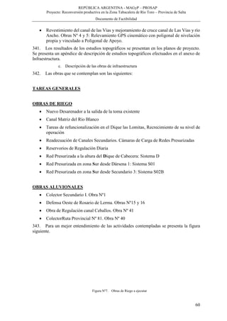 REPÚBLICA ARGENTINA - MAGyP – PROSAP
Proyecto: Reconversión productiva en la Zona Tabacalera de Río Toro – Provincia de Salta
Documento de Factibilidad
60
 Revestimiento del canal de las Vías y mejoramiento de cruce canal de Las Vías y río
Ancho. Obras Nº 4 y 5: Relevamiento GPS cinemático con poligonal de nivelación
propia y vinculado a Poligonal de Apoyo.
341. Los resultados de los estudios topográficos se presentan en los planos de proyecto.
Se presenta un apéndice de descripción de estudios topográficos efectuados en el anexo de
Infraestructura.
c. Descripción de las obras de infraestructura
342. Las obras que se contemplan son las siguientes:
TAREAS GENERALES
OBRAS DE RIEGO
 Nuevo Desarenador a la salida de la toma existente
 Canal Matriz del Río Blanco
 Tareas de refuncionalización en el Dique las Lomitas, Recrecimiento de su nivel de
operación
 Readecuación de Canales Secundarios. Cámaras de Carga de Redes Presurizadas
 Reservorios de Regulación Diaria
 Red Presurizada a la altura del Dique de Cabecera: Sistema D
 Red Presurizada en zona Sur desde Dársena 1: Sistema S01
 Red Presurizada en zona Sur desde Secundario 3: Sistema S02B
OBRAS ALUVIONALES
 Colector Secundario I. Obra Nº1
 Defensa Oeste de Rosario de Lerma. Obras Nº15 y 16
 Obra de Regulación canal Ceballos. Obra Nº 41
 ColectorRuta Provincial Nº 81. Obra Nº 40
343. Para un mejor entendimiento de las actividades contempladas se presenta la figura
siguiente.
Figura Nº7. Obras de Riego a ejecutar
 
