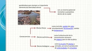 perdiéndose para siempre un importante
elemento de diversidad natural
con un enorme potencial
recreativo y paisajístico
dentro de la ciudad
Consecuencias:
Efectos físicos
Efectos químicos
como mal olor, cambio de color,
enturbiamiento, fermentación, cambio
de temperatura...
como la disminución de la
concentración necesaria
de oxígeno para la vida acuática.
Efectos biológicos
como la muerte de plantas y
animales, así como la producción
de enfermedades en el hombre