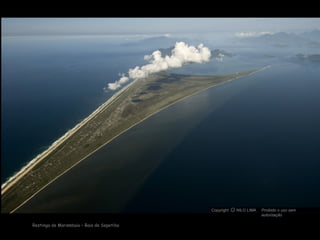 Restinga de Marambaia – Baia de Sepetiba
Copyright NILO LIMA Proibido o uso sem
autorização
cO
 