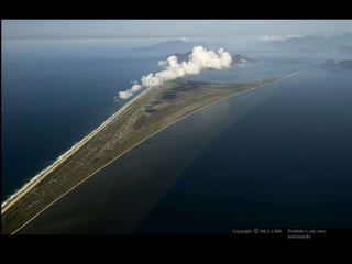 Restinga de Marambaia – Baia de Sepetiba Copyright  NILO LIMA Proibido o uso sem autorização c O 