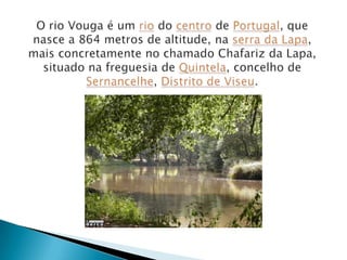 Rio Vouga Rafael