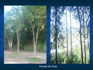 Entrada da Gruta 