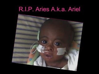 R.I.P. Aries A.k.a. Ariel 