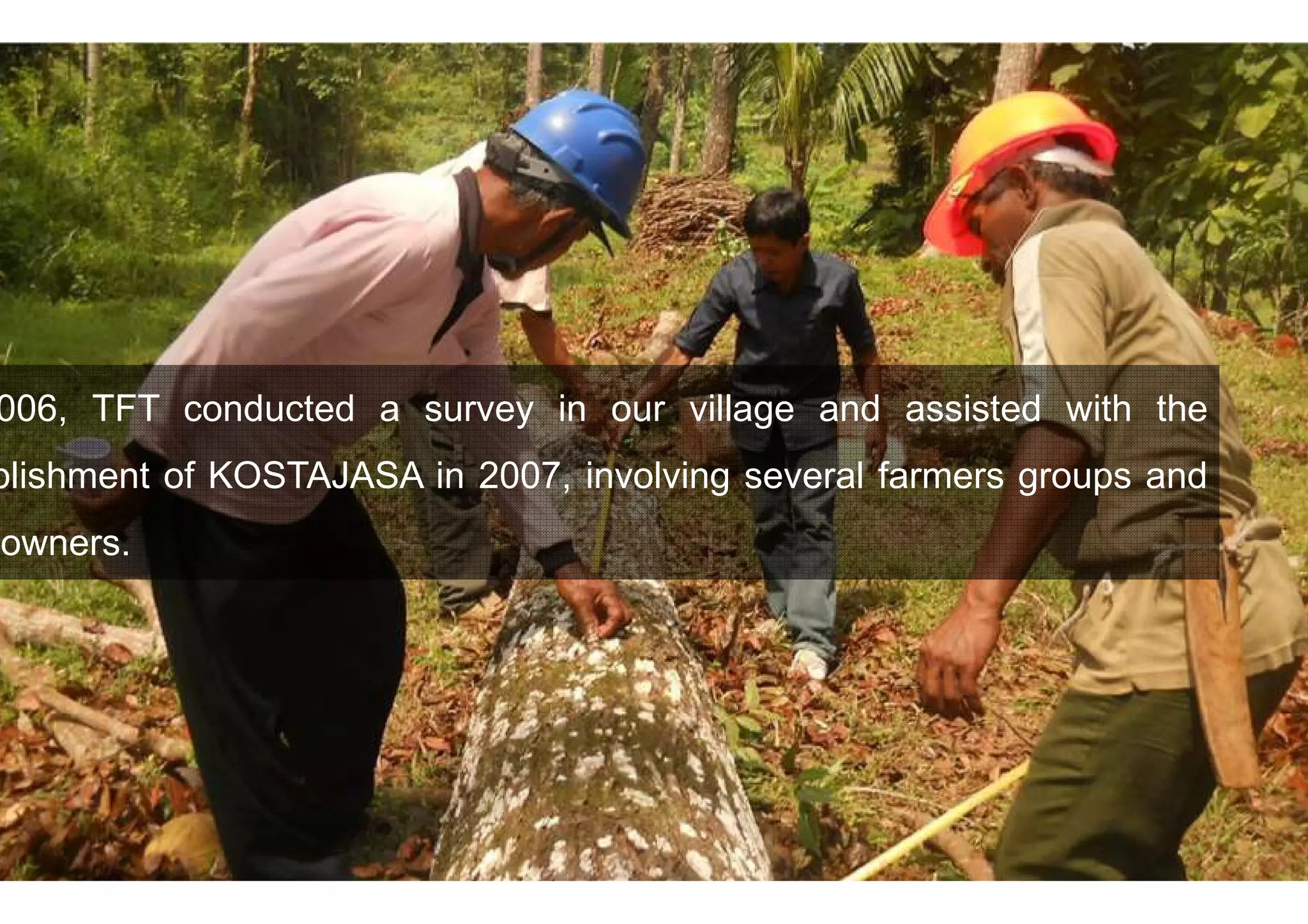 Timber farming in Central Java | PPT
