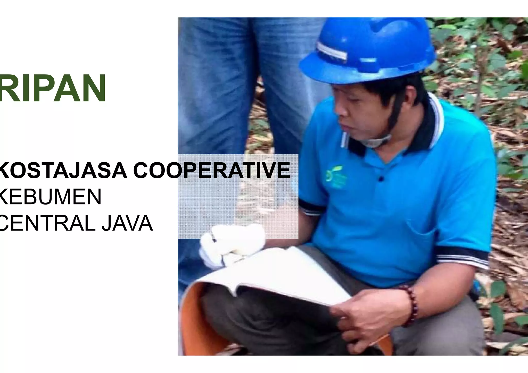 Timber farming in Central Java | PPT