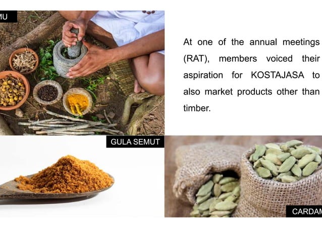 Timber farming in Central Java | PPT