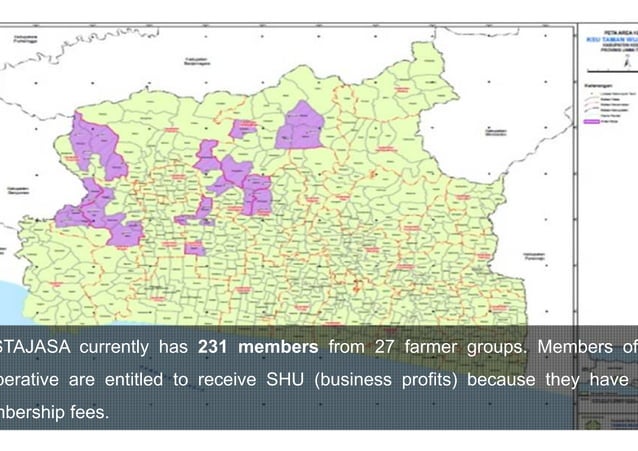 Timber farming in Central Java | PPT