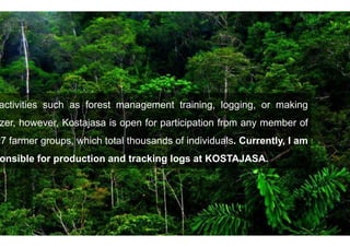 Timber farming in Central Java | PPT