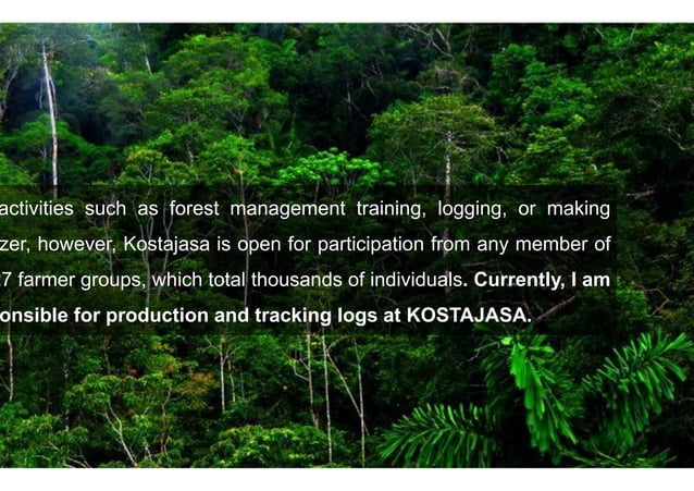 Timber farming in Central Java | PPT