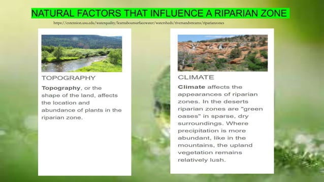 Riparian-Ecology-ppt-report . powerpoint presentation | PPTX ...
