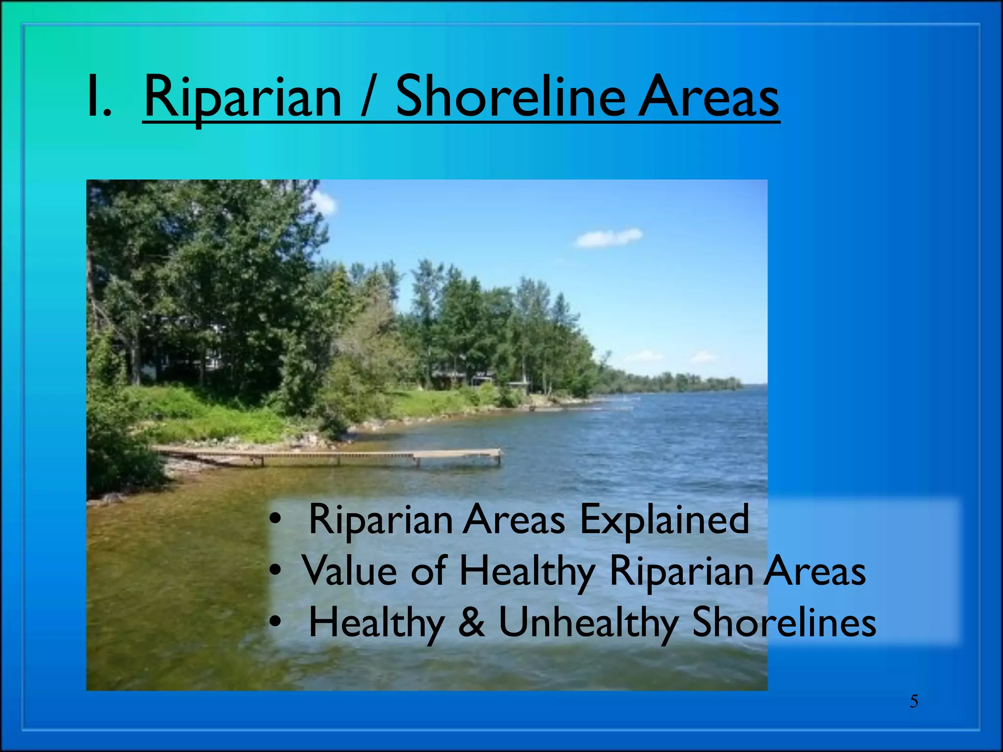 Riparian plants part 1 display version | KEY