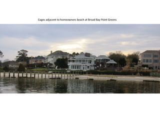 Riparian Property Rights | PPT
