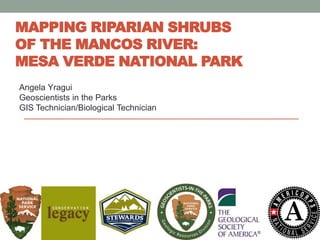 MAPPING RIPARIAN SHRUBS
OF THE MANCOS RIVER:
MESA VERDE NATIONAL PARK
Angela Yragui
Geoscientists in the Parks
GIS Technician/Biological Technician
 