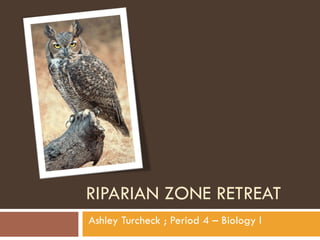 RIPARIAN ZONE RETREAT Ashley Turcheck ; Period 4 – Biology I 
