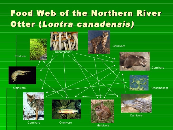 Fabio de Freitas Pd. 5