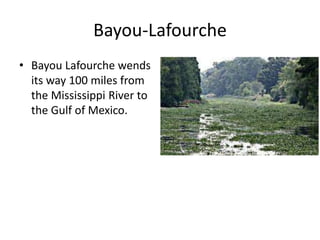 Bayou-Lafourche
• Bayou Lafourche wends
its way 100 miles from
the Mississippi River to
the Gulf of Mexico.
 