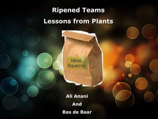 Ripened Teams Lessons from Plants Ali Anani And Bas de Baar 