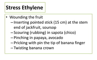 Ripening.ppt ruit ripening is a natural process in which a fruit goes ...