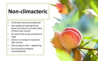 Ethylene Fruit Ripening Ppt