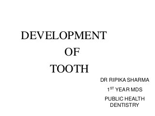 DEVELOPMENT
OF
TOOTH
DR RIPIKA SHARMA
1ST YEAR MDS
PUBLIC HEALTH
DENTISTRY
 