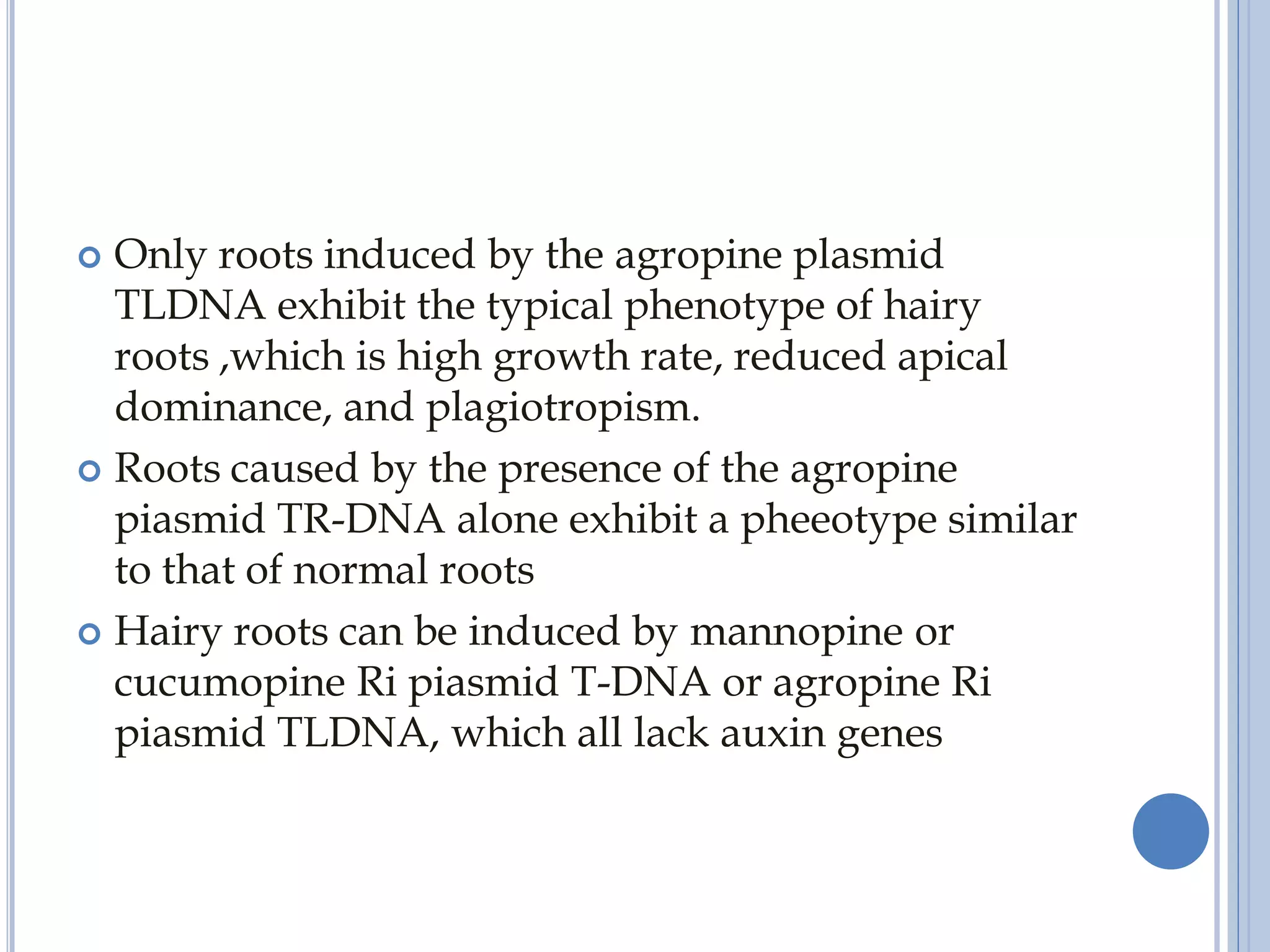  Only roots induced by the agropine plasmid
TLDNA exhibit the typical phenotype of hairy
roots ,which is high growth rate, reduced apical
dominance, and plagiotropism.
 Roots caused by the presence of the agropine
piasmid TR-DNA alone exhibit a pheeotype similar
to that of normal roots
 Hairy roots can be induced by mannopine or
cucumopine Ri piasmid T-DNA or agropine Ri
piasmid TLDNA, which all lack auxin genes
 