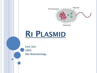 RI PLASMID
Enal Jain
12014
Msc Biotechnology
 