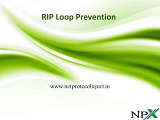 RIP Loop Prevention
www.netprotocolxpert.in
 