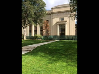  Lighting The Way to Net Zero