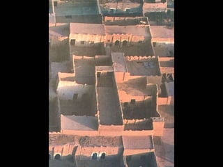  Lighting The Way to Net Zero