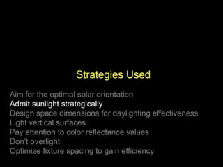  Lighting The Way to Net Zero