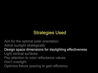  Lighting The Way to Net Zero