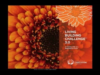  Lighting The Way to Net Zero