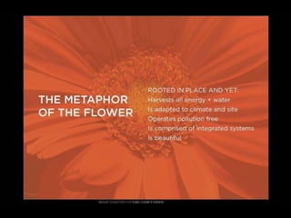  Lighting The Way to Net Zero