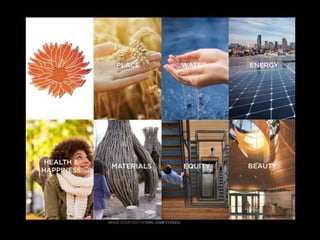  Lighting The Way to Net Zero