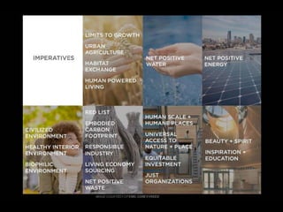  Lighting The Way to Net Zero