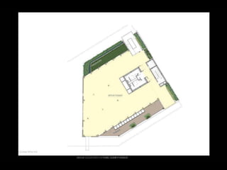  Lighting The Way to Net Zero