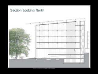  Lighting The Way to Net Zero