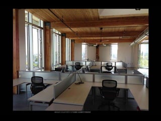  Lighting The Way to Net Zero