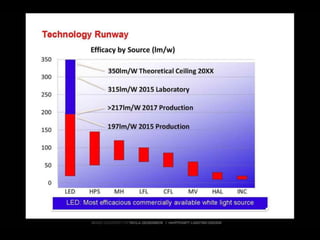  Lighting The Way to Net Zero