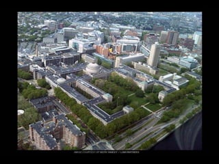  Lighting The Way to Net Zero