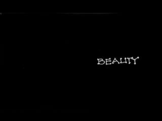  Lighting The Way to Net Zero